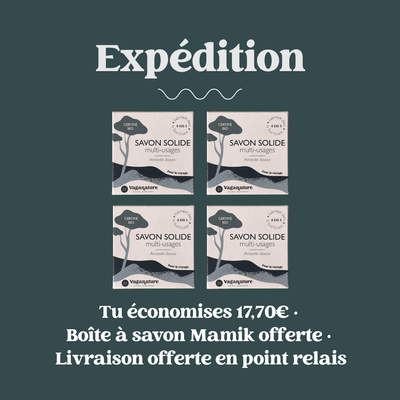 Savon solide multi-usages